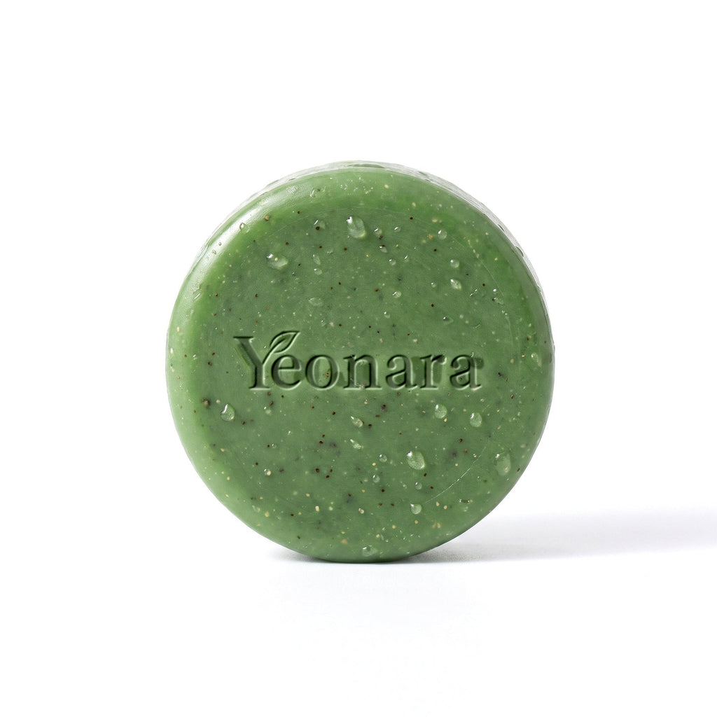 The Korean Scalp Conditioner